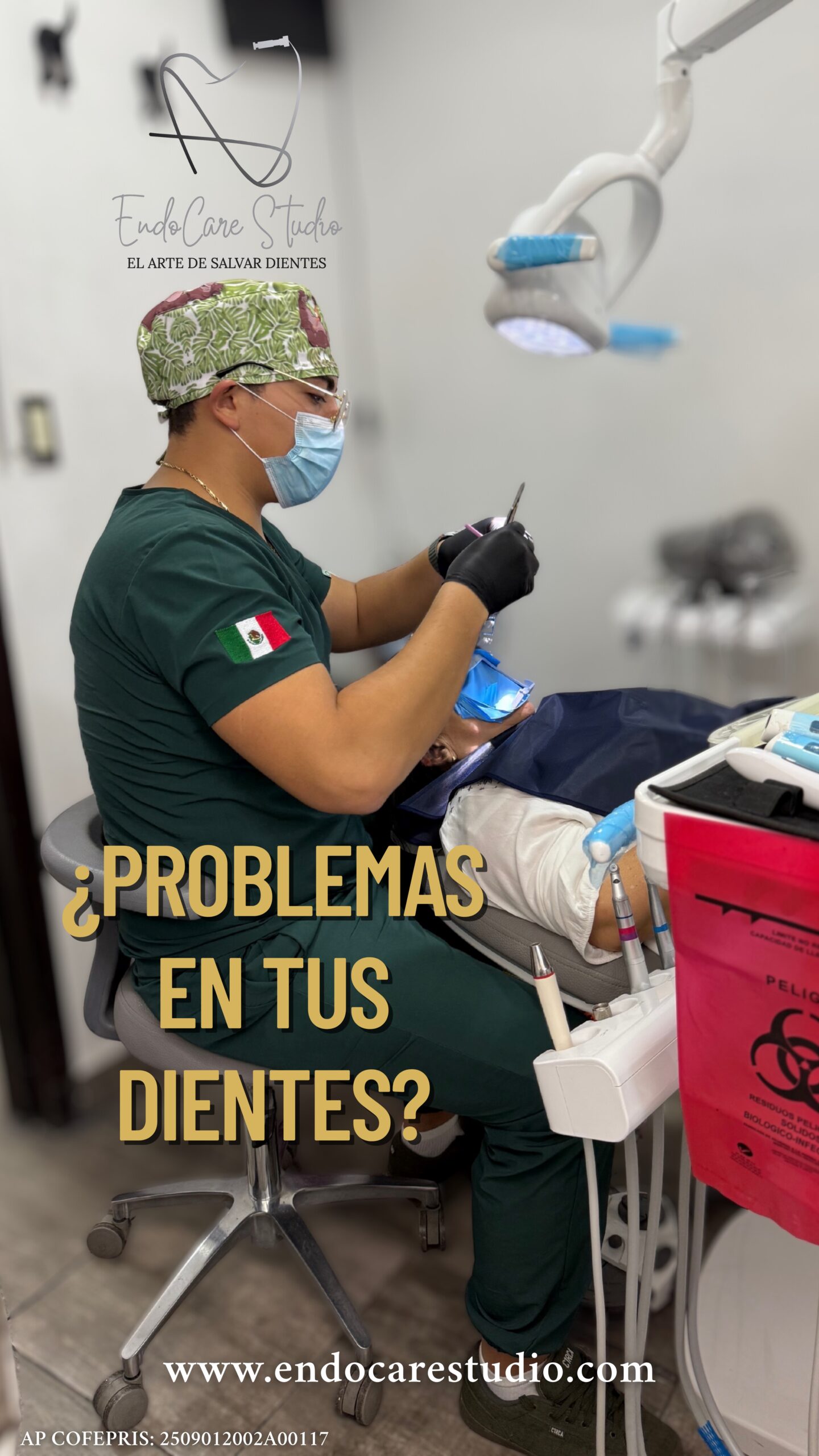 Endo ibmagen